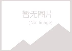 宁夏山柏电讯有限公司